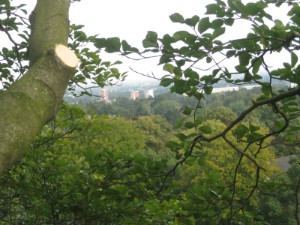 Eink&uuml;rzung und Entlastung