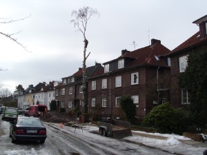 Birkenf&auml;llung Vorgarten